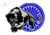 The Panthers Who Roared and the Silence That Followed