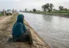 The Illusion of Equality: Casteism, “Honour,” and the Shadow over Punjab
